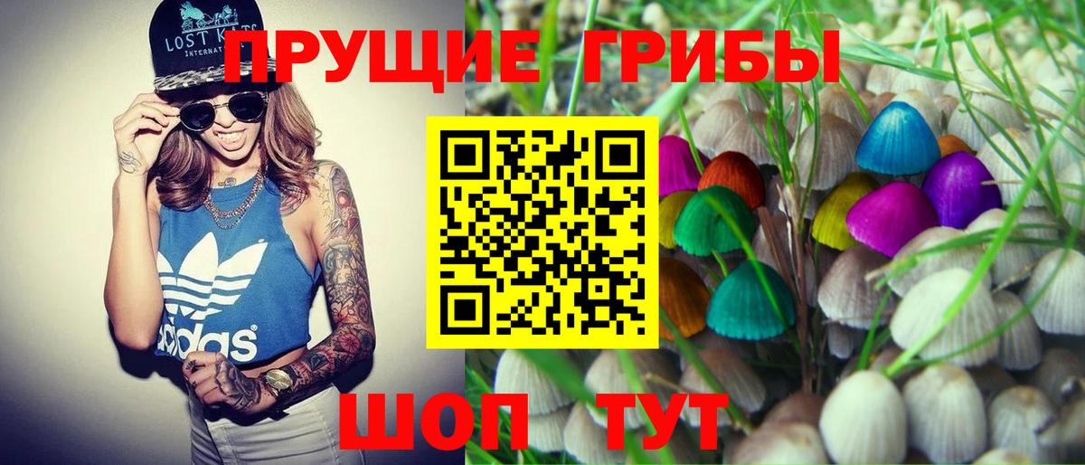 Псилоцибиновые грибы прущие грибы Кимовск