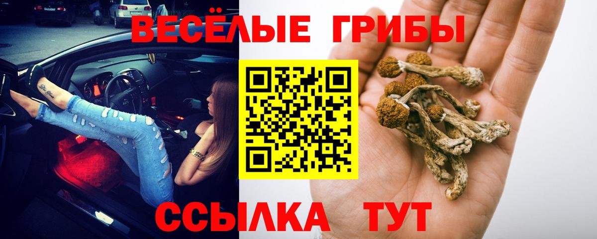 Галлюциногенные грибы Magic Shrooms  Вход с VPN  Кимовск  Галлюциногенные грибы ЛСД 